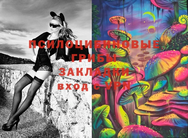 твердый Абинск