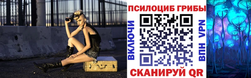 где продают наркотики hydra рабочий сайт Галлюциногенные грибы Cubensis Подпорожье